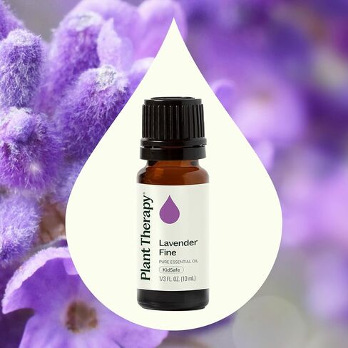 Plant Therapy Lavender Fine Essential Oil 10 mL (1/3 oz) 100% Pure, Undiluted, Soothing Aromatherapy for Better Sleep and Relaxation in Kuwait