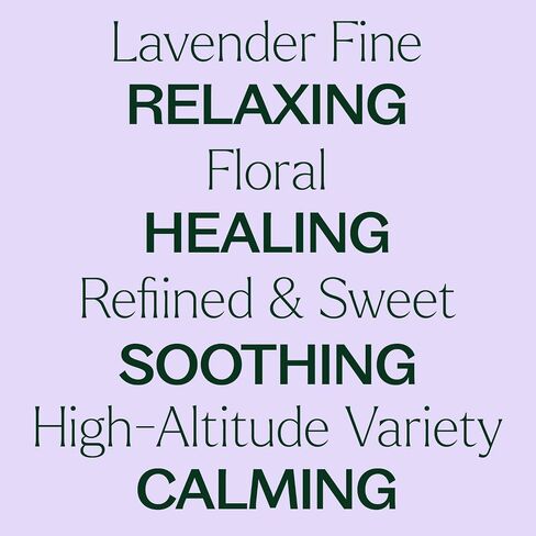 Plant Therapy Lavender Fine Essential Oil 10 mL (1/3 oz) 100% Pure, Undiluted, Soothing Aromatherapy for Better Sleep and Relaxation in Kuwait