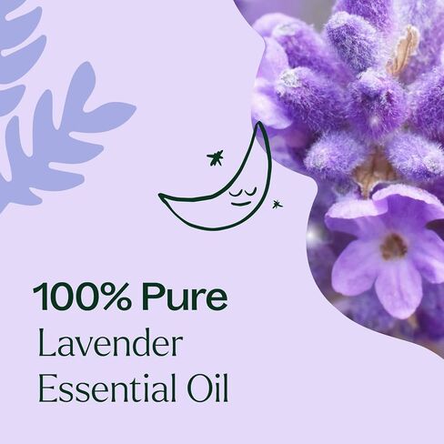 Plant Therapy Lavender Fine Essential Oil 10 mL (1/3 oz) 100% Pure, Undiluted, Soothing Aromatherapy for Better Sleep and Relaxation in Kuwait