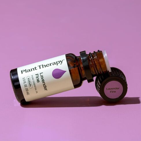 Plant Therapy Lavender Fine Essential Oil 10 mL (1/3 oz) 100% Pure, Undiluted, Soothing Aromatherapy for Better Sleep and Relaxation in Kuwait