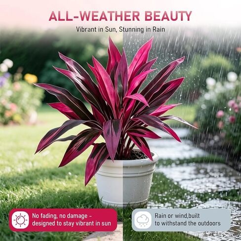 2pcs Large Realistic Artificial Boston Fern & Dragon's Blood Tree Artificial Turf UV Resistant Red Cordyline Ti Plants Red/Pink Vibrant Purple Leaves (A) in Saudi Arabia