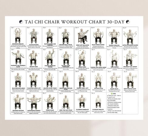 MINI ZOZI Tai Chi Chair Workout Exercise Chart Poster For Seniors Men Women Printing 12x16 Canvas Senior Exercise Walking Work Outs For Beginners Home Gym Yoga Wall Decor in Saudi Arabia