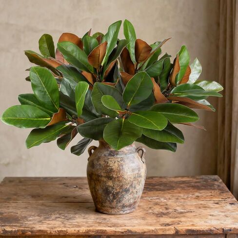 6Pcs 22Inch Artificial Magnolia Leaves with Stems Fake Magnolia Leaf Branch Faux Magnolia Stems Greenery Twigs for Vase Home Indoor Outdoor Party Office Table Centerpieces Decor in Kuwait