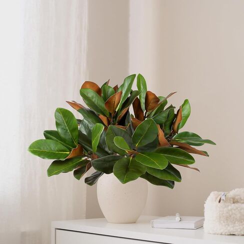 6Pcs 22Inch Artificial Magnolia Leaves with Stems Fake Magnolia Leaf Branch Faux Magnolia Stems Greenery Twigs for Vase Home Indoor Outdoor Party Office Table Centerpieces Decor in Kuwait