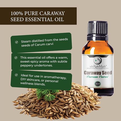 Caraway Seed Essential Oil | 15 ml | Carum carvi | Steam Distilled from Seeds | Sweet Spicy Aroma | Digestive & Aromatherapy Support | Natural Middle Note | Pure & Undiluted | Egypt in Saudi Arabia