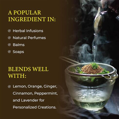 Caraway Seed Essential Oil | 15 ml | Carum carvi | Steam Distilled from Seeds | Sweet Spicy Aroma | Digestive & Aromatherapy Support | Natural Middle Note | Pure & Undiluted | Egypt in Saudi Arabia