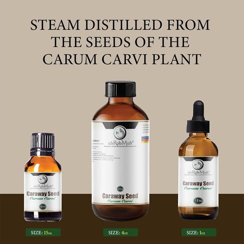 Caraway Seed Essential Oil | 15 ml | Carum carvi | Steam Distilled from Seeds | Sweet Spicy Aroma | Digestive & Aromatherapy Support | Natural Middle Note | Pure & Undiluted | Egypt in Saudi Arabia