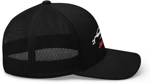 2023 2024 Sports Car Z06 C8 Next Gen صورة ظلية لسائقي السيارات الرياضية مطرزة قبعة سائق الشاحنة Snapback Hat in Kuwait