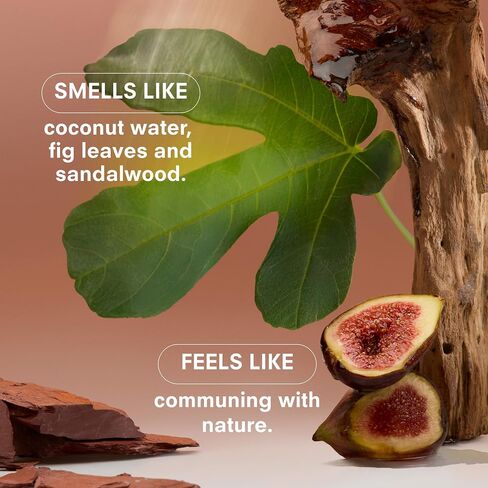 Boy Smells Woodphoria Candle – Coconut Water, Fig Leaves, and Sandalwood – Woody and Floral Scented Candle in Kuwait