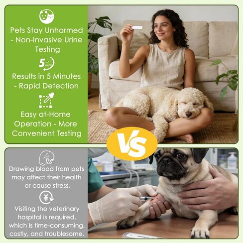Dog & Cat Pregnancy Test Kit (2 Pack) – at-Home Pet Urine Screening Test for Dogs & Cats, Fast Visual Results, Non-Invasive & Easy to Use in Kuwait
