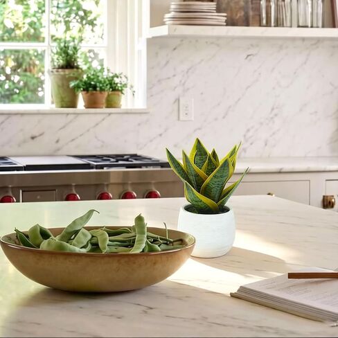 8" Fake Snake Plant & Faux Agave in White Ceramic Pot | Pet-Friendly Low-Light Sansevieria Greenery, Real Touch Small Fake Plant for Home Office Desk, Bookshelf, Bathroom Decor in Kuwait