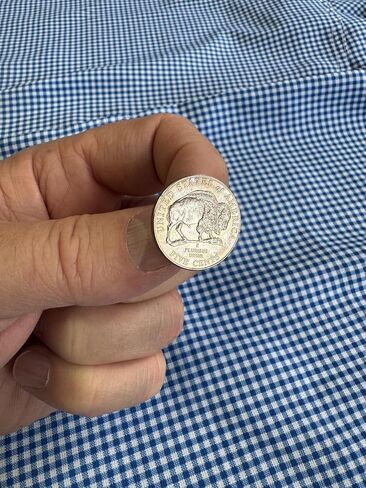 Buffalo Nickel Lapel Pin 2005 Westward Journey Series Uncirculated Coin Enamel Pin Backing Hand Made Lapel Pin Collectible Bison Nickel in Kuwait
