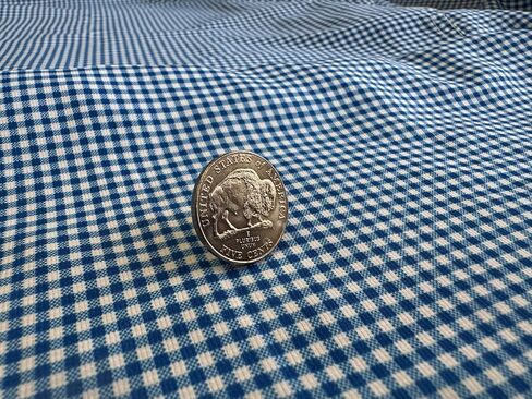 Buffalo Nickel Lapel Pin 2005 Westward Journey Series Uncirculated Coin Enamel Pin Backing Hand Made Lapel Pin Collectible Bison Nickel in Kuwait