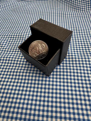 Buffalo Nickel Lapel Pin 2005 Westward Journey Series Uncirculated Coin Enamel Pin Backing Hand Made Lapel Pin Collectible Bison Nickel in Kuwait