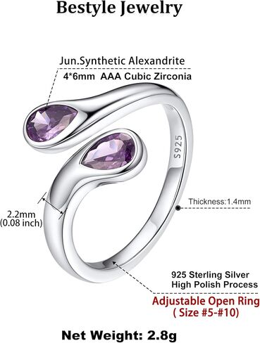 Bestyle Sterling Silver Birthstone Earrings & Rings Set, June Purple Alexandrite Earrings for Women in Kuwait