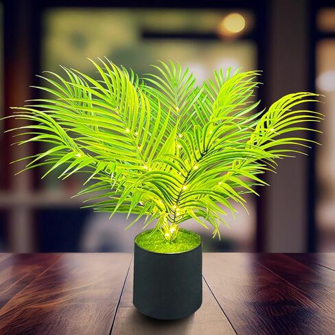 نبات صناعي لشجرة النخيل أريكا مقاس 20 بوصة، يعمل ببطارية USB | طراز Dypsis lutescens، USB أو يعمل بالبطارية، ديكور منزلي داخلي، نبات استوائي صناعي، لمسة جمالية لغرفة النوم في غرفة المعيشة in Kuwait