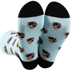 جوارب BWWKTOP Step Brothers هدية لمحبي فيلم Brennan & Dale جوارب Brennan Socks Dale Merchandise in Kuwait