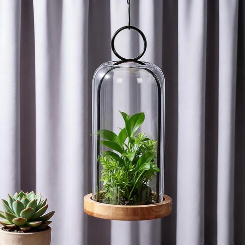 12" High Versatile Black Metal Candle Holder with Handmade Sturdy Glass Dome And Natural Wooden Base for Pillar Candle & Plants, Industrial, Farmhouse, Shabby Chic, Decorative Display Cloche Bell Jars in Saudi Arabia
