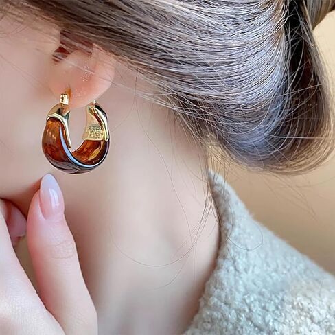 Cute Gold Chunky Brown Crystal Hoop Earrings for Women Statement, Vintage White Resin Stone Circle Drop Earring Exquisite Vacation Valentine Jewelry in Saudi Arabia