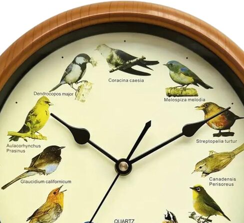 Generic Singing Bird Wall Clock Decorative Clock 10 Inch,Ornaments Quiet Creative Wall Hanging Clock Decor for Bedroom, Living Room, Brown in Saudi Arabia