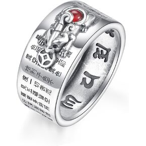 Feng Shui Ring Silver 925 Red Agate Pi Xiu Jewelry Wealth Lucky Pi Xiu Jewelry Gifts for Men Women Ring Size 8-13 in Saudi Arabia