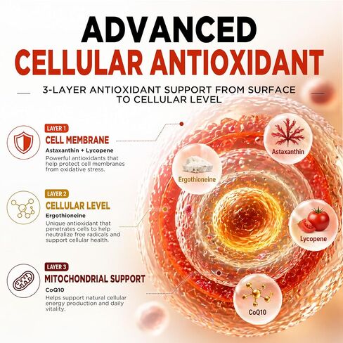 Liposomal Astaxanthin 12mg Supplements, Organic Astaxanthin Liquid with MCT Oil, Lycopene, Zeaxanthin & Ergothioneine, Antioxidant for Skin & Eye Health, Blueberry Flavor, 2 FL OZ in Saudi Arabia