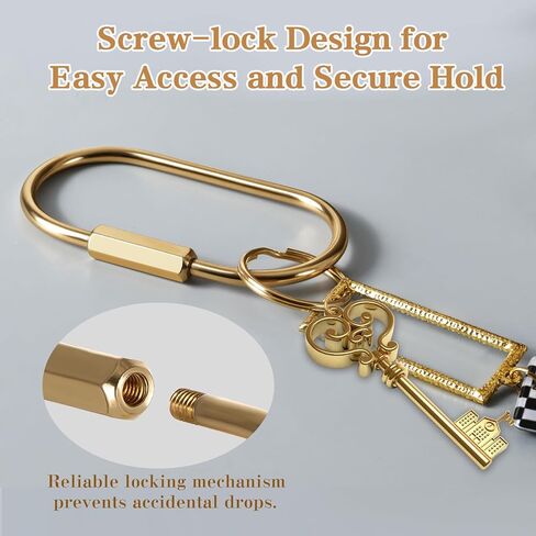 Muitcdo 10 Pack Brass Key Rings Bulk, Gold Key Chain Organizer Holder for Men Women with Secure Screw Locking, Cute Purse Bag Charms for Handbags, Small Carabiner Clip for Dog Leash Pet Tags in Kuwait