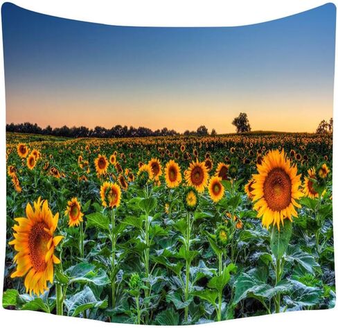 XIUYINHS Forest Tapestry Scenery Wall Tapestry Nature Landscape Tapestries,for Home Office Dorm Indoor and Outdoor Decoration Large Size 59(W) x59(L) Inch (GTHJ263) in Saudi Arabia