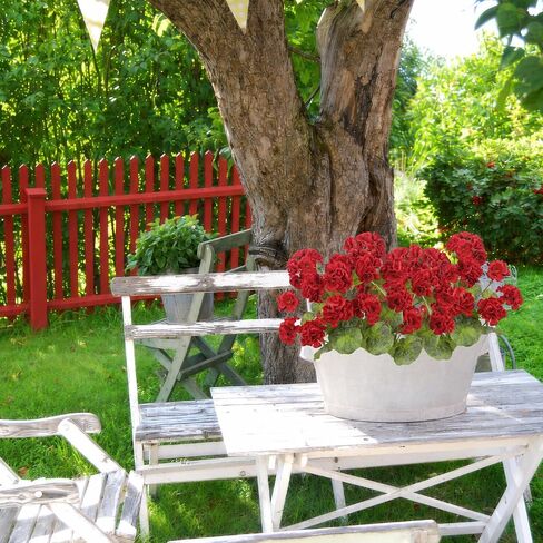 2 Pcs Artificial Geraniums for Outdoors 23'' Faux Flowers Red Silk Geraniums UV Resistant Realistic Fake Flowers for Window Box Outside Planter Porch Patio Garden Table Centerpieces Home in Kuwait
