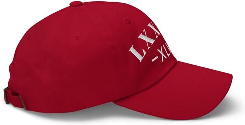 قبعة NX Roman 86 47 أرقام مطرزة منحنية قبعة مريحة ذات تاج منخفض قابل للتعديل 8647 in Kuwait