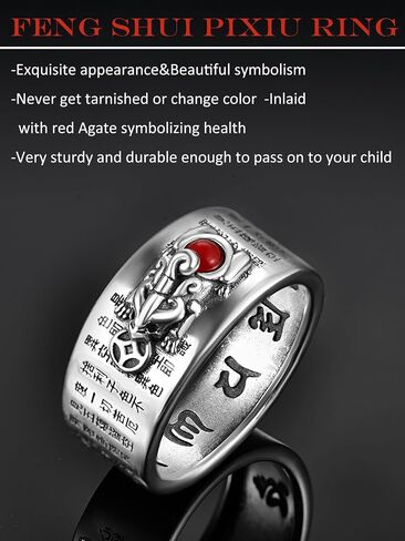 Feng Shui Ring 925 Sterling Silver Red Agate Pi Xiu Ring Wealth Lucky Pi Xiu Jewelry Gifts for Men Women Ring Size 11 in Saudi Arabia