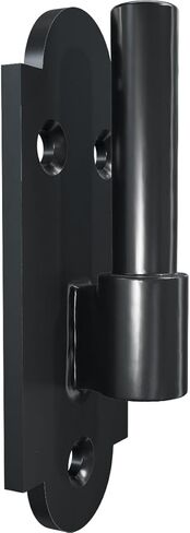 SteelTek Pintel on Plate with 1/2" Offset (Sold as Pair), 304 Stainless Steel, Powder Coated Black in Saudi Arabia