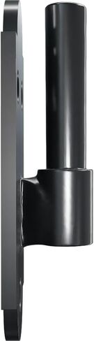 SteelTek Pintel on Plate with 1/2" Offset (Sold as Pair), 304 Stainless Steel, Powder Coated Black in Saudi Arabia