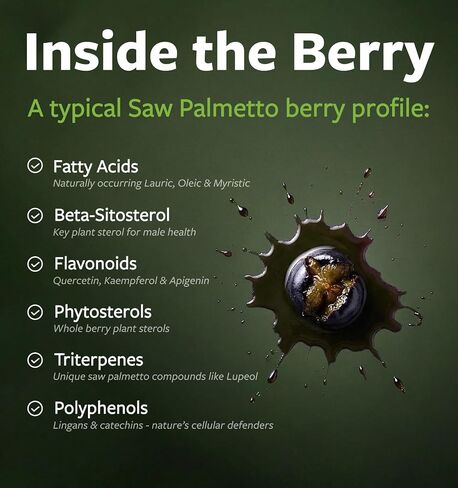 PURE CO USDA Organic Saw Palmetto Supplement - Organic Saw Palmetto for Women & Men's Urinary Tract Prostate & DHT Blocker for Women - Whole Berries - Vegan Non-GMO & Lab Verified (4 Month Supply) in Saudi Arabia