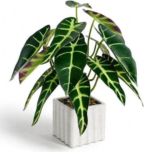 13" Artificial Potted Plant for Idoor Decor,Realistic Faux Tropical Green Plant for Desk Shelf Office Room Home Decoration(Alocasia) in Saudi Arabia