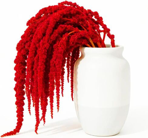 5 Pcs 22 Inch Bright Red Artificial Amaranthus - Faux Lover Tears Hanging Vines for Floral Arrangements, Vase Bouquets, Wedding Arch, Table Centerpiece, Home Office Decor in Saudi Arabia