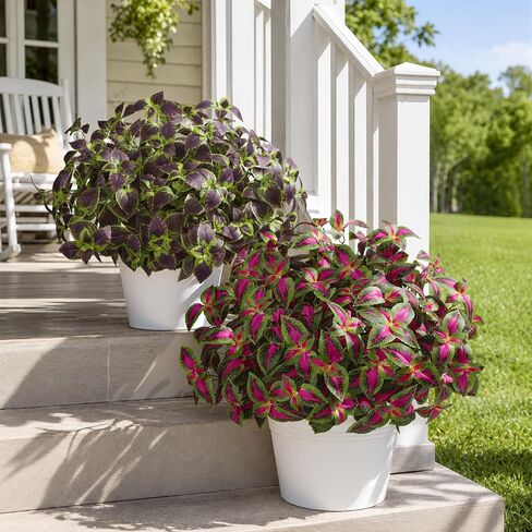 HyeFlora Artificial Coleus Plants Outdoor, 5 Pcs UV Resistant Faux Silk Greenery with Stems, Fake Plant for Outside Porch Planters Garden Patio Hanging Pathway Decor (Red) in Saudi Arabia