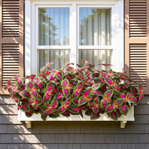 HyeFlora Artificial Coleus Plants Outdoor, 5 Pcs UV Resistant Faux Silk Greenery with Stems, Fake Plant for Outside Porch Planters Garden Patio Hanging Pathway Decor (Red) in Saudi Arabia