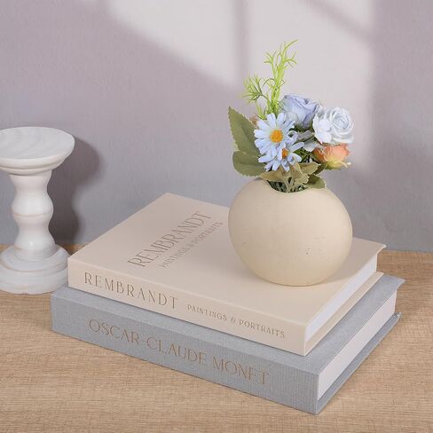 2 Pack Linen Faux Decorative Books for Home Decor, Coffee Table Fake Book Storage Boxes, Aesthetic Modern Decor Books for Bookshelf Mantel, Home Decoration for Photo Storage in Saudi Arabia