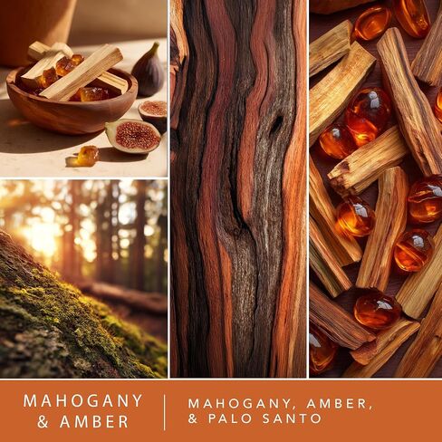 ScentSationals Water-Based Reed Diffuser - Mahogany & Amber - 5 FL OZ Aromatherapy Reed Diffuser in Kuwait