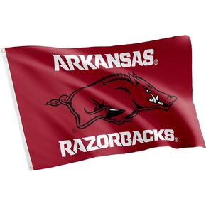 Desert Cactus University of Arkansas Flag Razorbacks U of A Hogs Flags Banners 100% Polyester Indoor Outdoor 3x5 (Design K)
