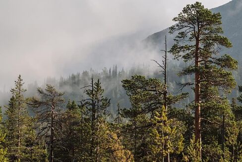 SUUNTO Tandem 360PC/360R G Compass/Clinometer: 2-in-1 Precision Compass and Clinometer for Professionals,white in Kuwait