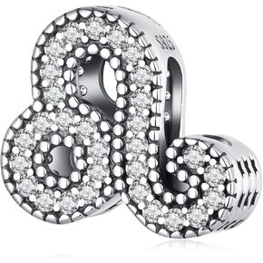 925 Sterling Silver Charm 12 Zodiac Signs Charm for Women Bracelets Charms Birthday Charm BirthdayStone Charm in Saudi Arabia