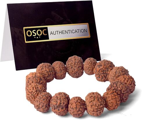 SATVIK - (12mm - 7 Mukhi Rudraksha Bracelet Beads on Elastic Thread, Natural Rudraksha Wrist Mala, Spiritual Jewelry for Daily Wear, Unisex, OSOC™ Certified in Saudi Arabia