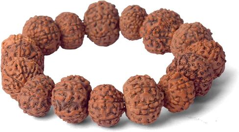 SATVIK - (12mm - 7 Mukhi Rudraksha Bracelet Beads on Elastic Thread, Natural Rudraksha Wrist Mala, Spiritual Jewelry for Daily Wear, Unisex, OSOC™ Certified in Saudi Arabia