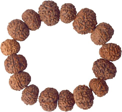 SATVIK - (12mm - 7 Mukhi Rudraksha Bracelet Beads on Elastic Thread, Natural Rudraksha Wrist Mala, Spiritual Jewelry for Daily Wear, Unisex, OSOC™ Certified in Saudi Arabia