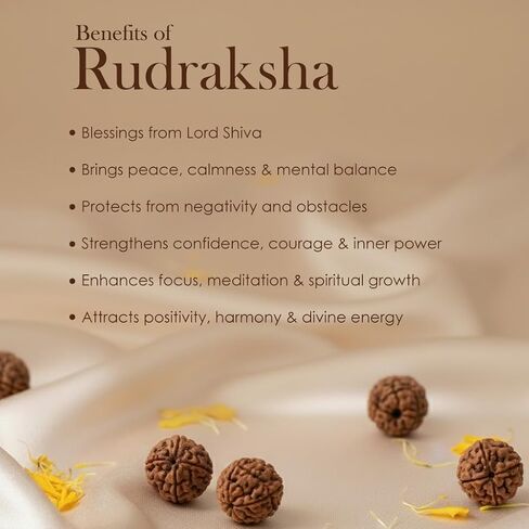 SATVIK - (12mm - 7 Mukhi Rudraksha Bracelet Beads on Elastic Thread, Natural Rudraksha Wrist Mala, Spiritual Jewelry for Daily Wear, Unisex, OSOC™ Certified in Saudi Arabia