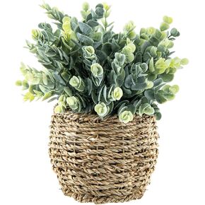 نبات منضدية من خشب البقس والأوكالبتوس الاصطناعي من MyGift في زارع الروطان المنسوج الريفي لديكور المنزل أو المكتب in Kuwait