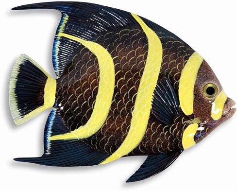 Handpainted L-A Tropical Fish Replica Wall Mount Decor Plaque 6" (Set Of 6) in Saudi Arabia