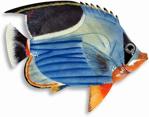 Handpainted L-A Tropical Fish Replica Wall Mount Decor Plaque 6" (Set Of 6) in Saudi Arabia